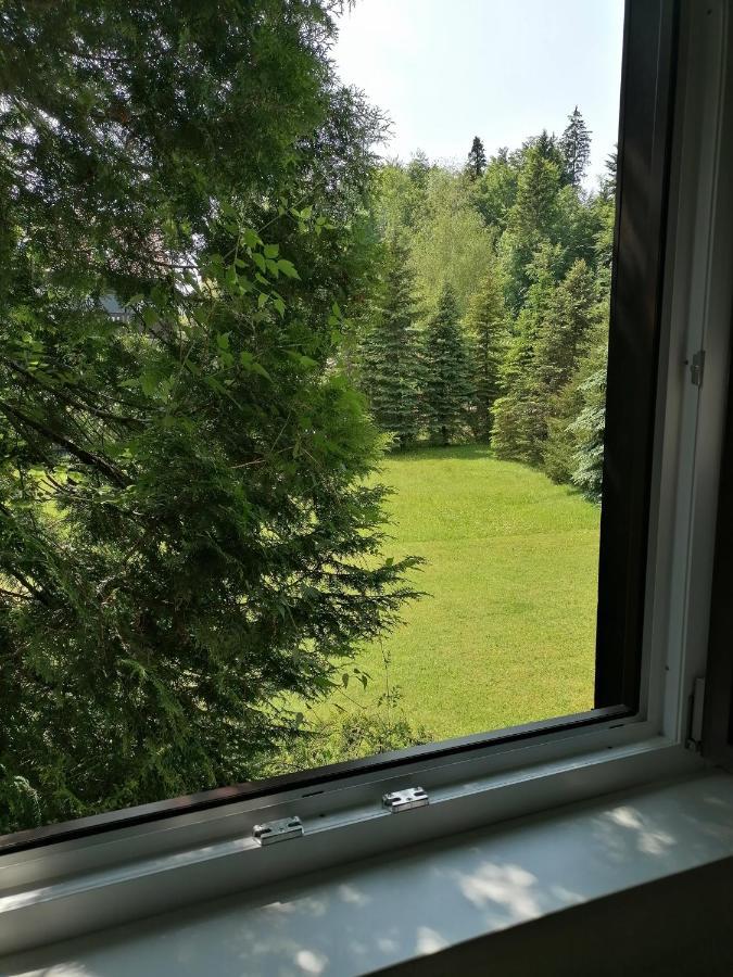 Apartmán Haus Aschau Bad Ischl Exteriér fotografie